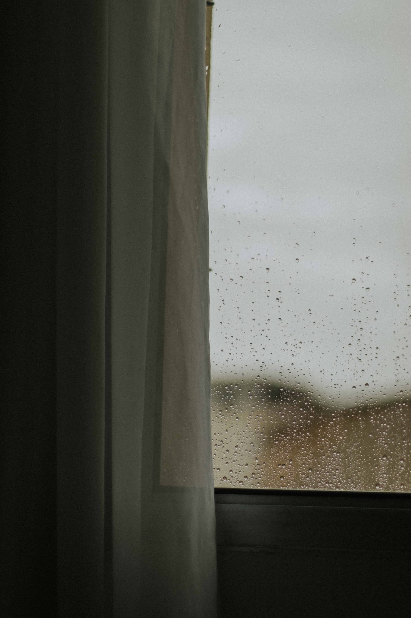 What should I do if my Lisbon apartment develops mould while I'm abroad?